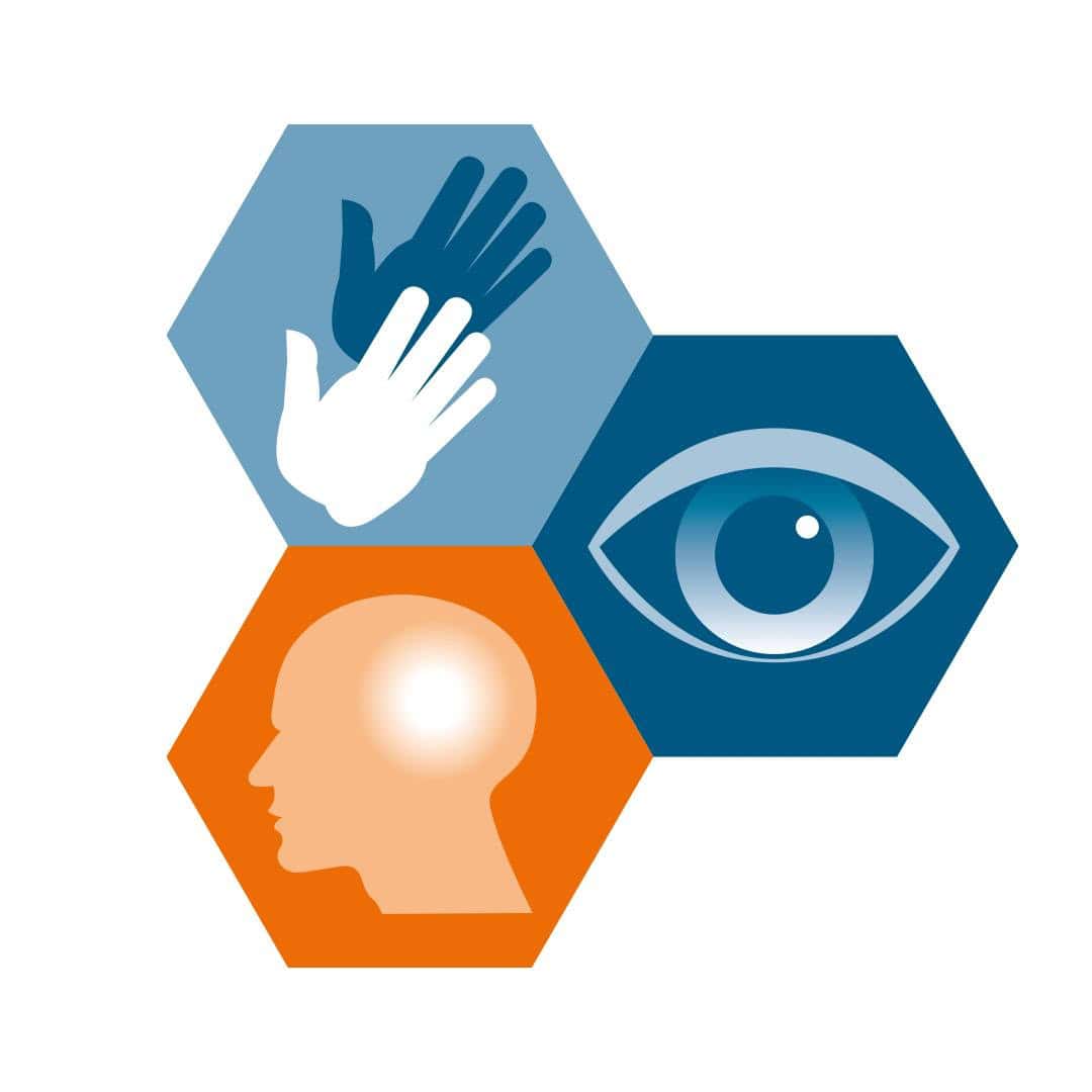 Three hexagons display icons of a hand, an eye, and a human head, representing touch, sight, and thought on a white background.